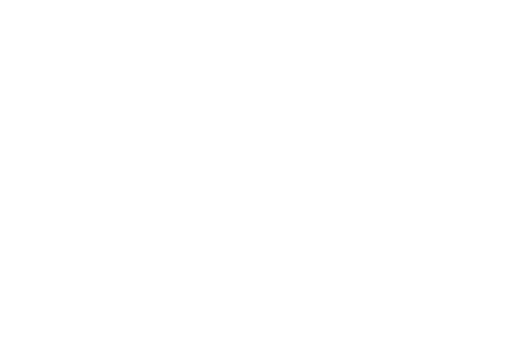 logotipos FEF 1024x688 1